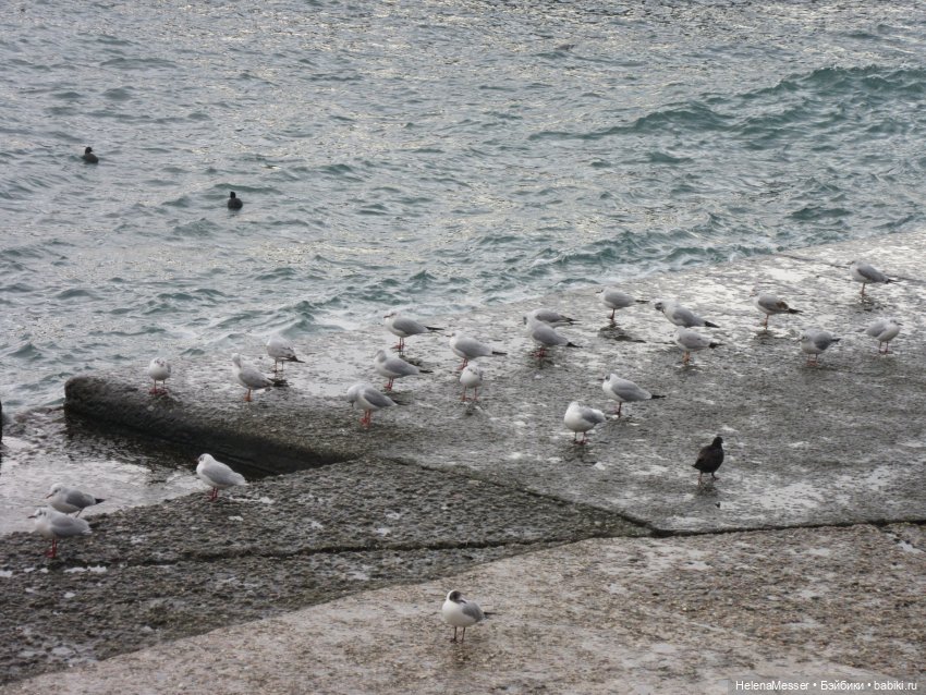 Крымские каникулы, часть 6. Прощание с Ялтой (фото 3)
