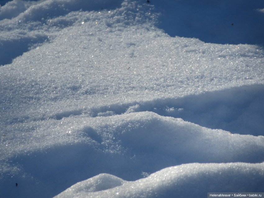 Если очень хочется подснежников, или Как Моррисы подружились с людьми (фото 4)