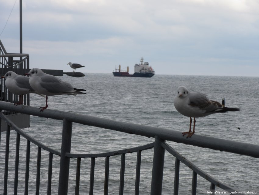 Крымские каникулы, часть 6. Прощание с Ялтой (фото 8)