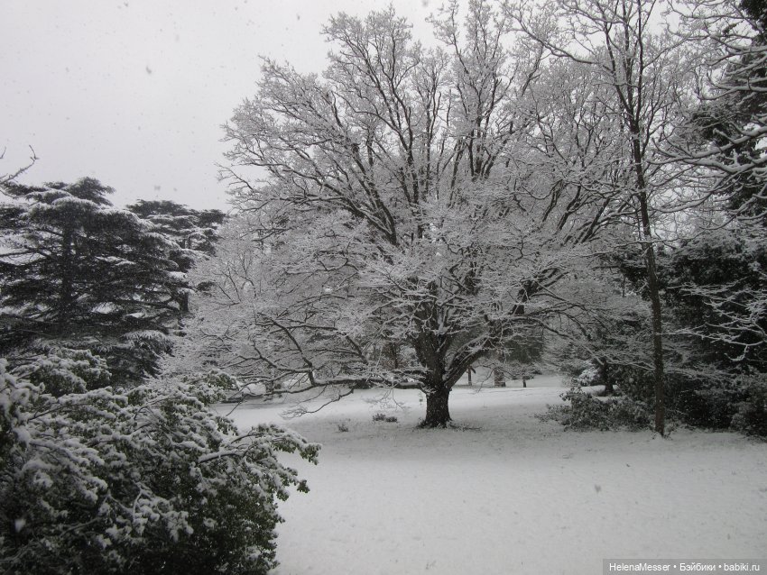 Крымские каникулы, часть 5. Снег в Воронцовском парке
