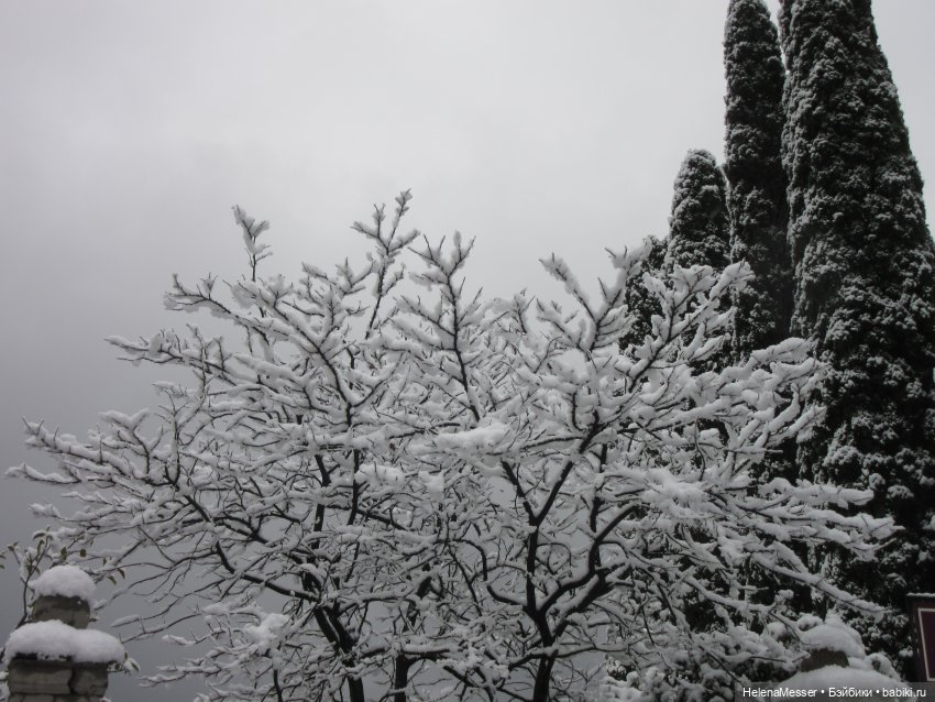 Крымские каникулы, часть 5. Снег в Воронцовском парке