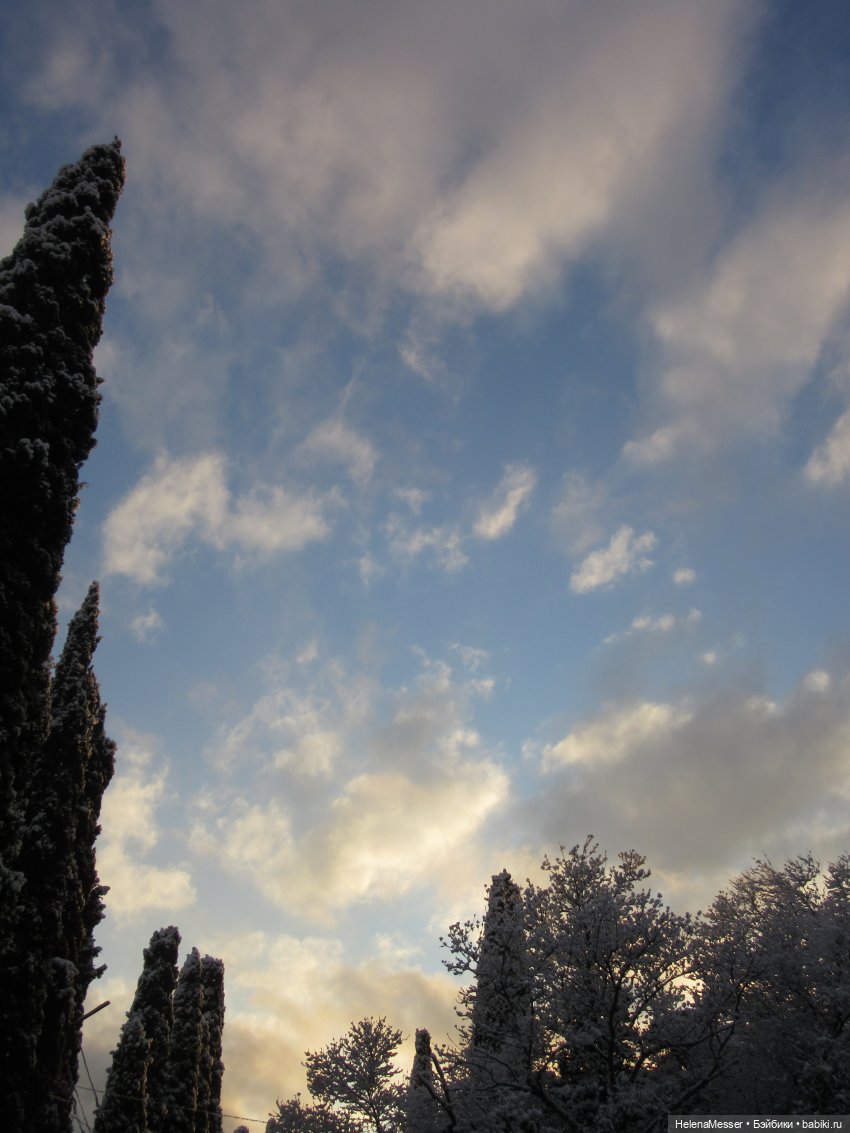 Крымские каникулы, часть 5. Снег в Воронцовском парке