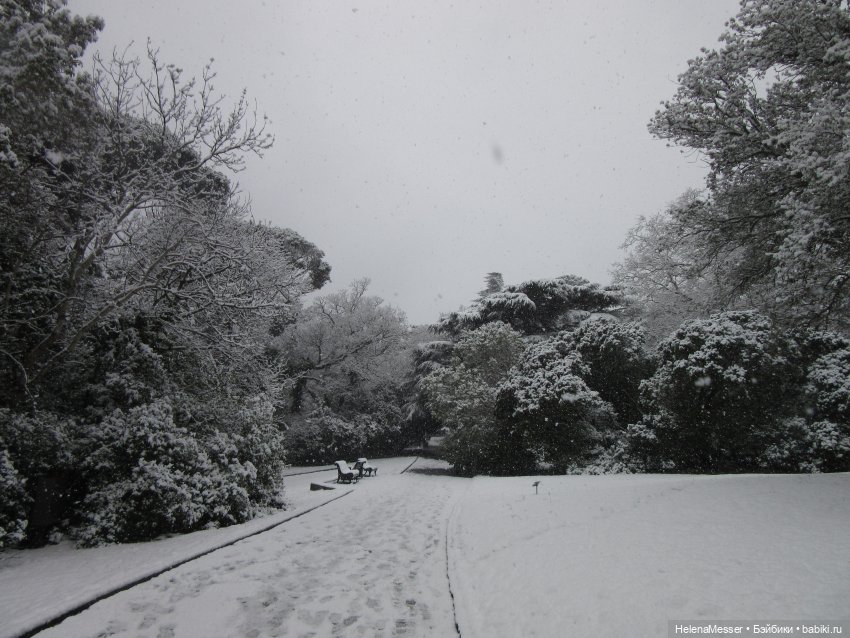 Крымские каникулы, часть 5. Снег в Воронцовском парке (фото 6)