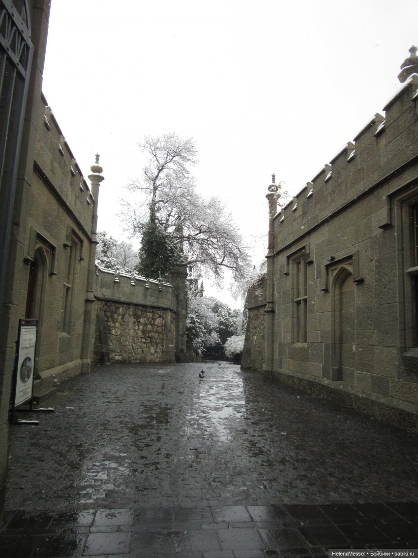 Крымские каникулы, часть 5. Снег в Воронцовском парке