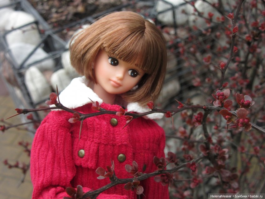 Одним дождливым днём — Куклы Takara Tomy (Такара): Licca (Ликка)