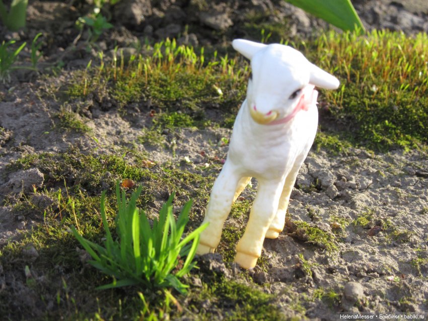 Странный сон юной пастушки (фото 2)