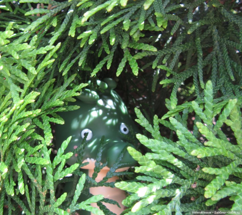 Внимание, gator! Или приключения Шнаппи в зоопарке