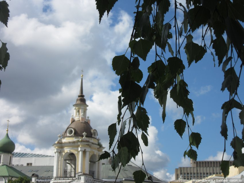 Лето в Москве галопом, часть 2.2. Парк "Зарядье" (фото 5)
