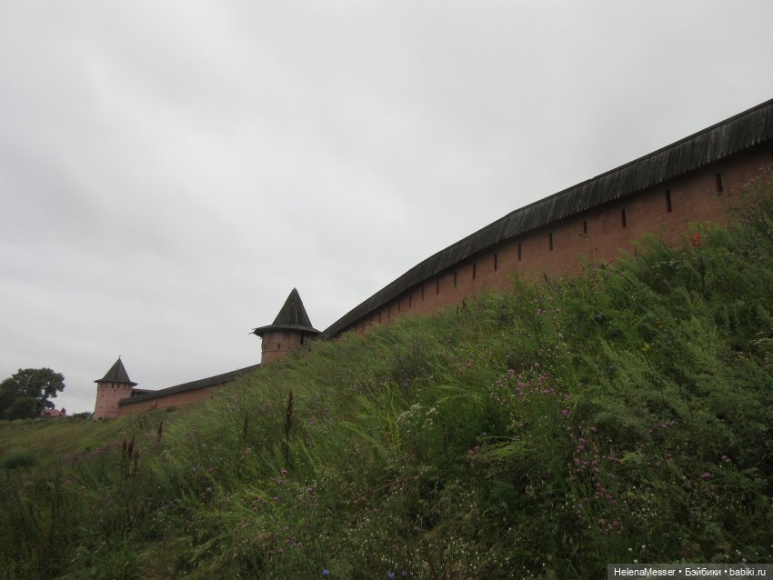 Лето в Москве галопом, часть 3.1. В Суздале (фото 8)