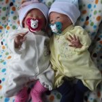 Цветочки близняшки реборн