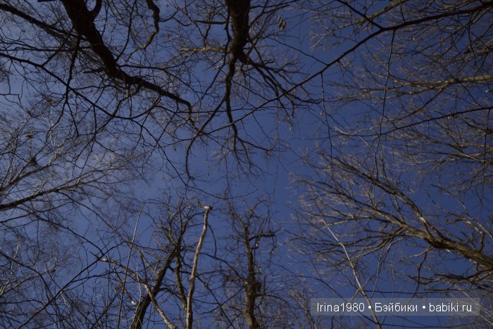 Самое яркое мартовское небо