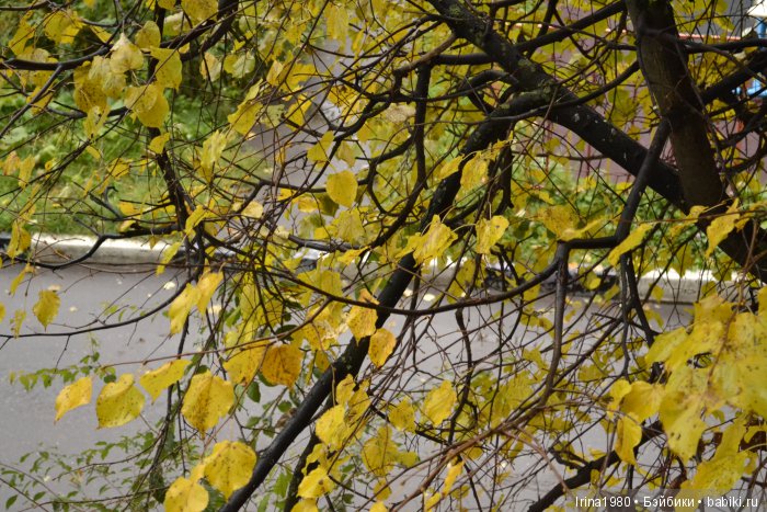 Моя Саския. Кукла-Реборн Смирновой Ирины