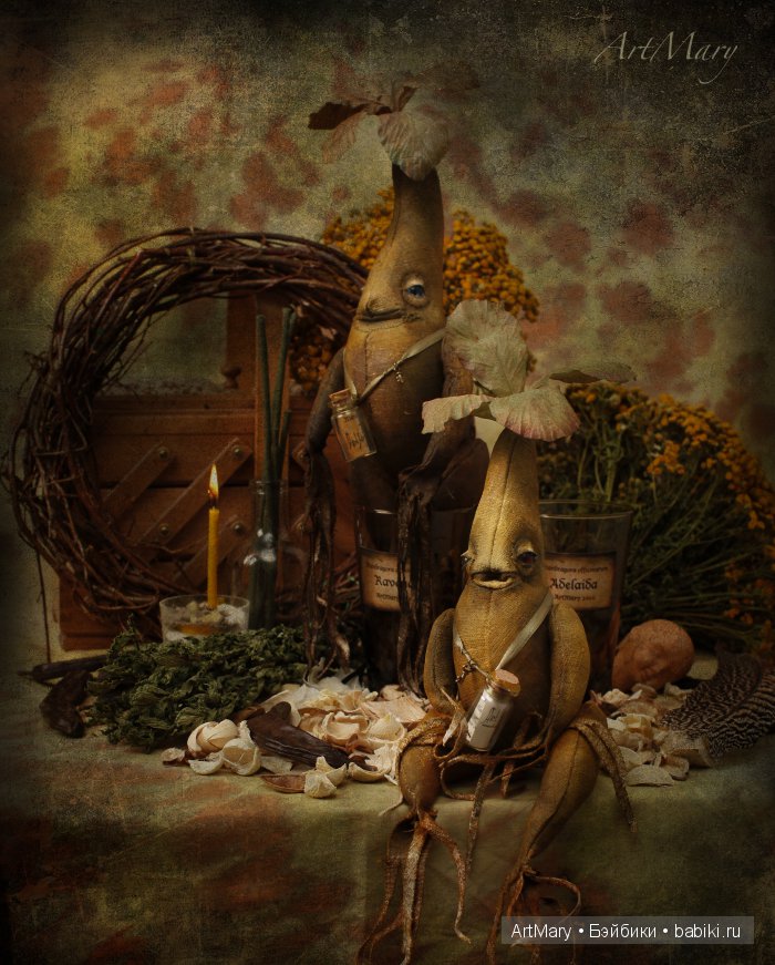 Мандрагоры Равена и Аделаида (фото 6)