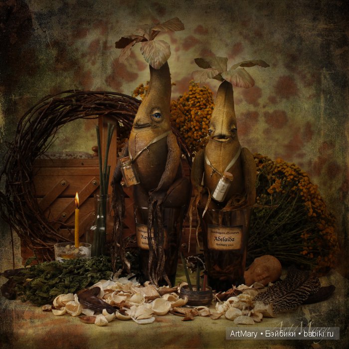 Мандрагоры Равена и Аделаида (фото 4)