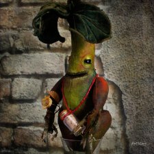 Мандрагора Rebecca