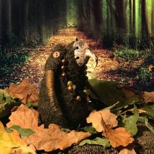 Дух осеннего леса