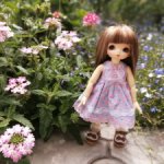 Бжд LittleFee Flora FairyLand
