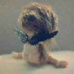 ...Ангелы иногда сидят на подоконниках