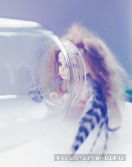 Детка в ...банке, или к чему приводит любопытство (фото 6)