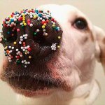 Пасха на носу, а вы готовы? еда в кукольный домик