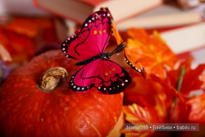 Эльфик реборн Тауриэль — Куклы Реборн (Reborn): работы мастеров