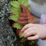 Осенняя прогулка