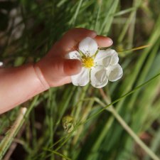 Селина и Леля. Куклы реборн Марины Голубицкой