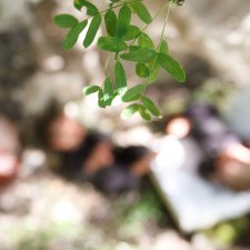 А у нас рожки... Куклы реборн Марины Голубицкой