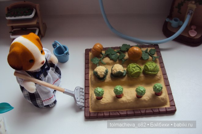 Маленькая страна Сильвания