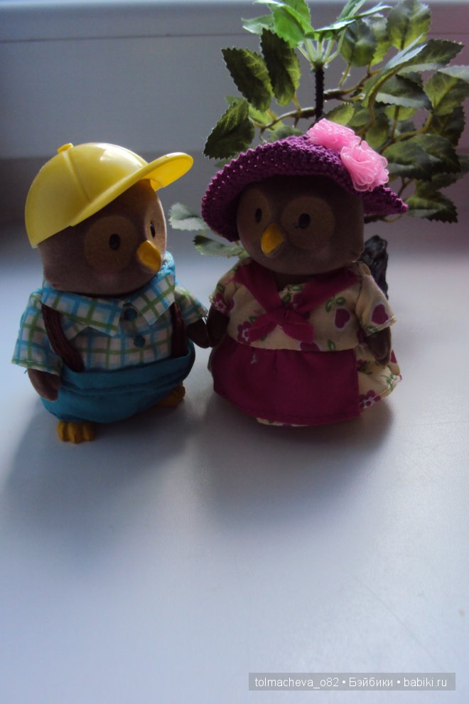 Маленькая страна Сильвания