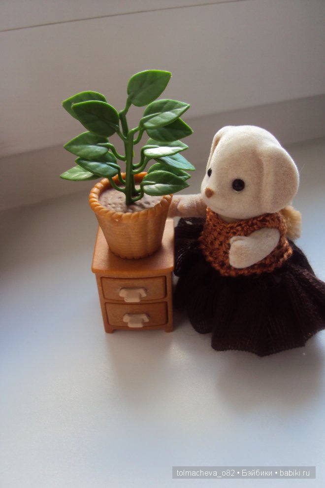 Маленькая страна Сильвания