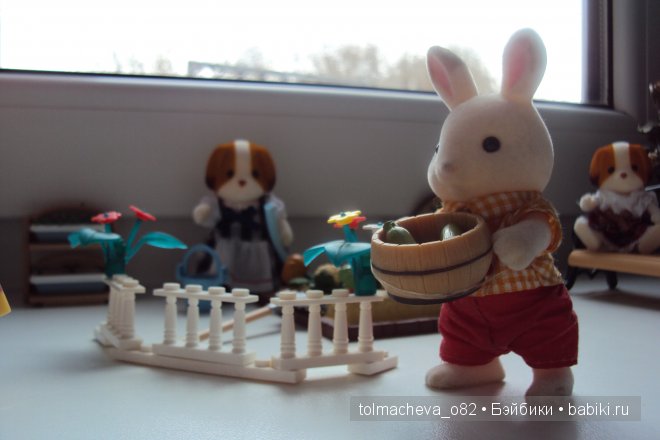 Маленькая страна Сильвания