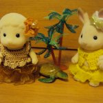 Маленькая страна Сильвания