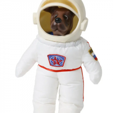 Белка или Стрелка собака