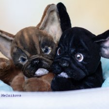 Две сладкие булички-тэдди Корица и Маковка