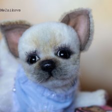 Тедди щенок чихуахуа Маргошечка