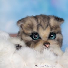 Реалистичный котенок по имени Котенок