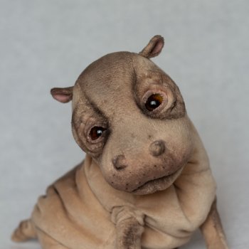 Бегемотя Мотя