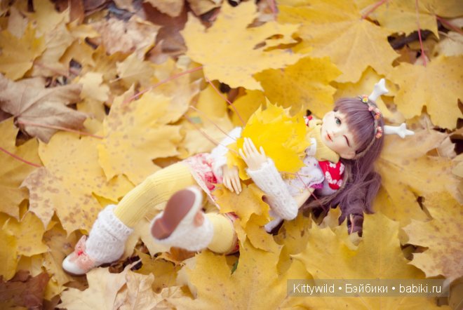 Моя Радуга - красавица Rainbow