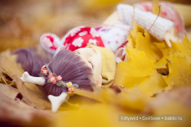 Моя Радуга - красавица Rainbow (фото 3)