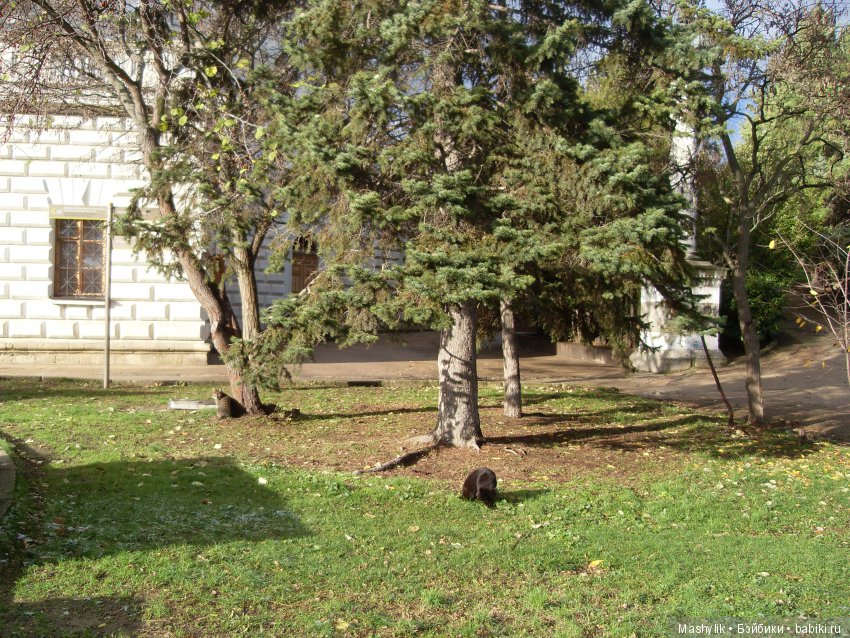 Ура, первый снег | Бэйбики Ура, первый снег — Zapf Creation Mini: Baby Born (фото 8)