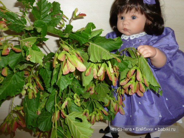 Кукла Lee Middleton Amethyst&Pearls