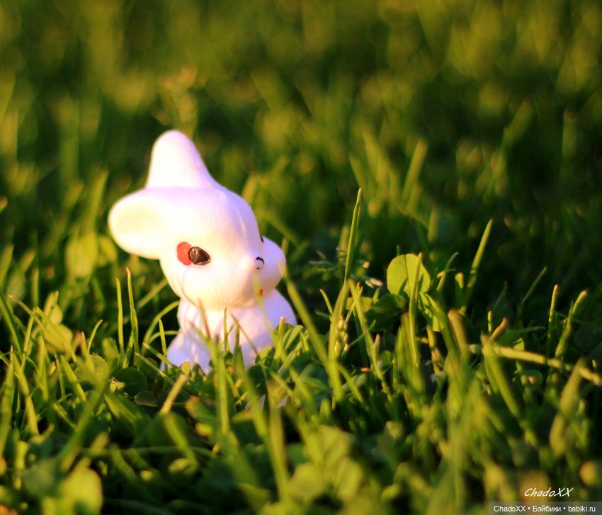 Мои куклы и игрушки из СССР - часть 1 (фото 8)