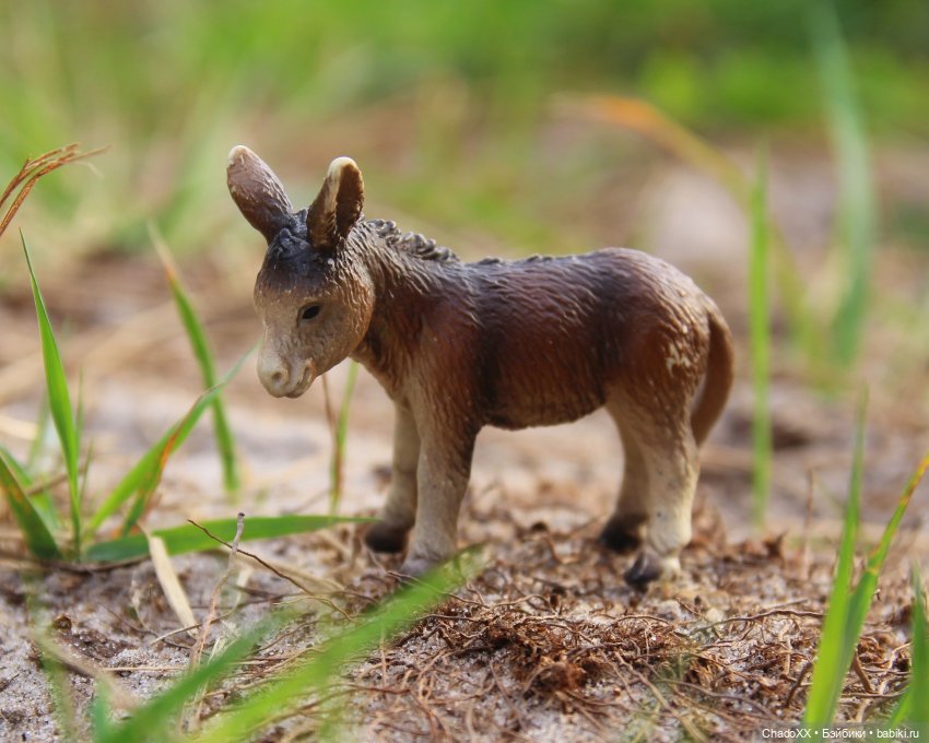 Прогулки со зверятами — Коллекционные фигурки (разное): животные