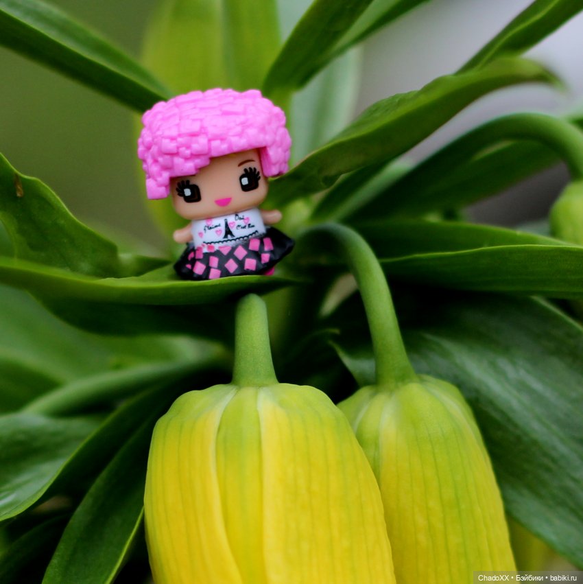 Миксикопрогулки - часть 2