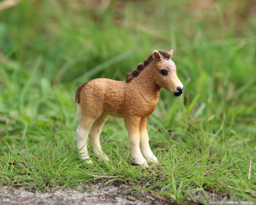 Прогулки со зверятами — Коллекционные фигурки (разное): животные (фото 2)