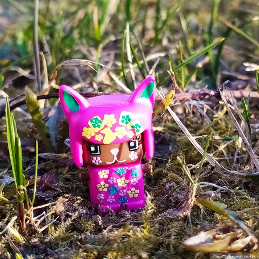 Миксикопрогулки - часть 2 (фото 4)