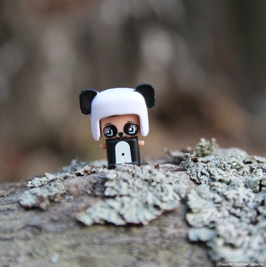 Миксикопрогулки - часть 2 (фото 8)