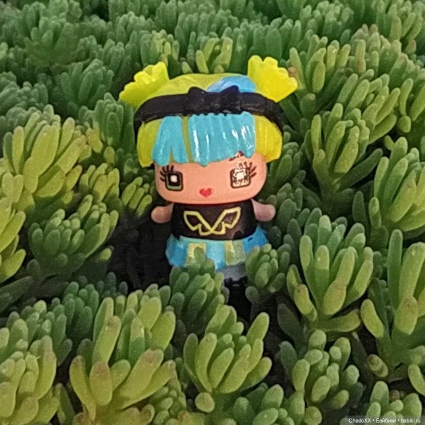 Миксикопрогулки - часть 2