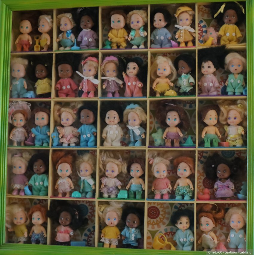 Мои новые мелкие 2025 - Келли, Мокси, Ддунг и Тико